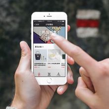 天津市龍華新技術開發公司 玩具、電子產品與軟件的互聯網銷售新勢力