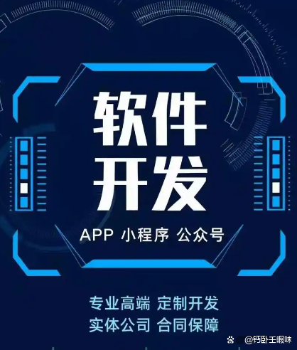 個性化功能需求，專業定制軟件開發服務如何全面滿足？